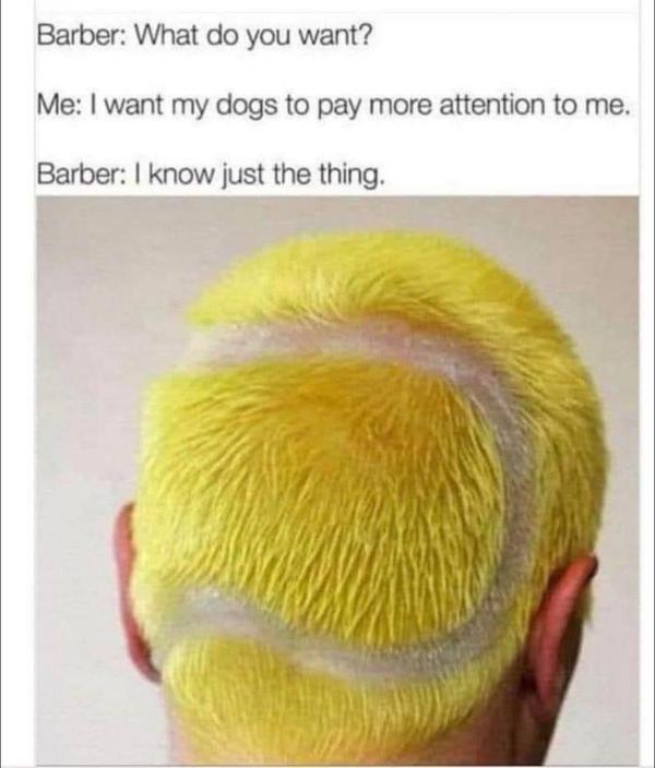 1774883825263.png
