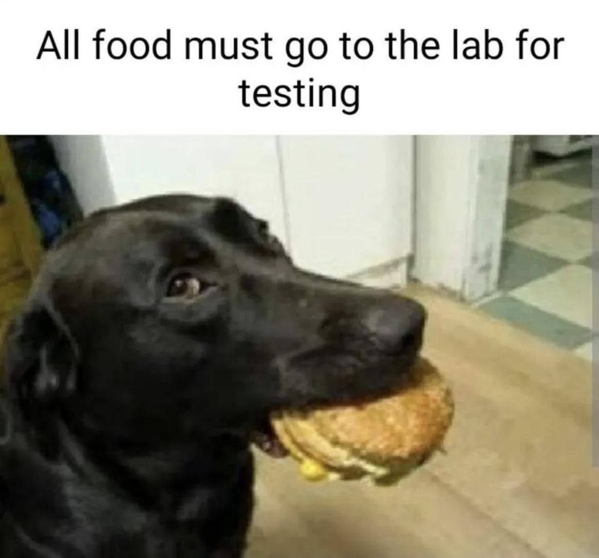 1775241932859.png