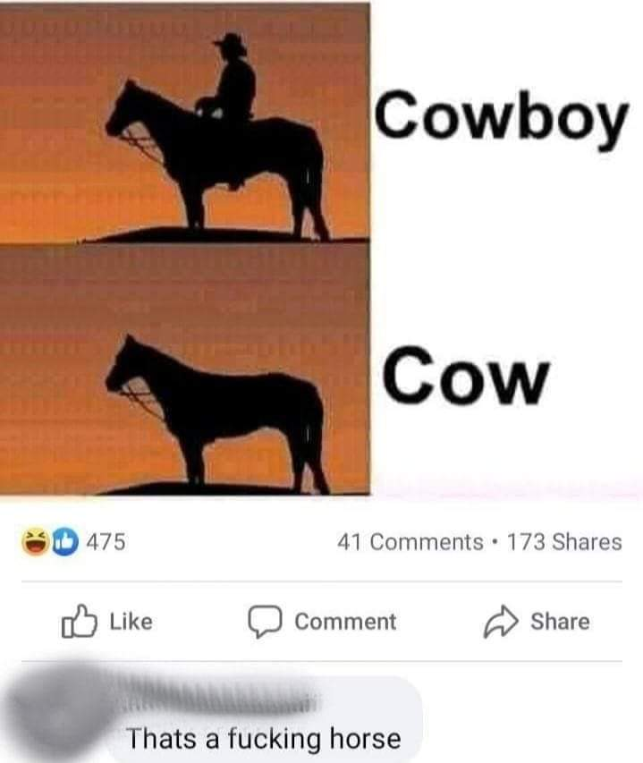 1782509243620.png