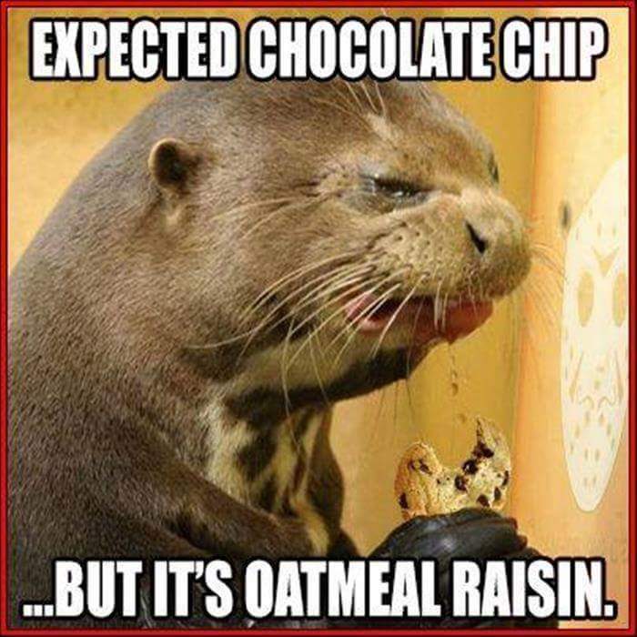 chchip.jpg