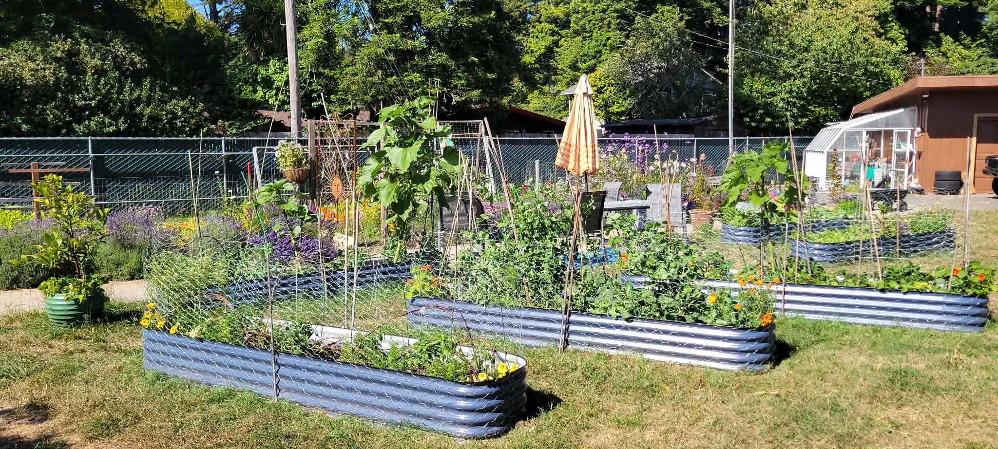 Garden july2026.jpg