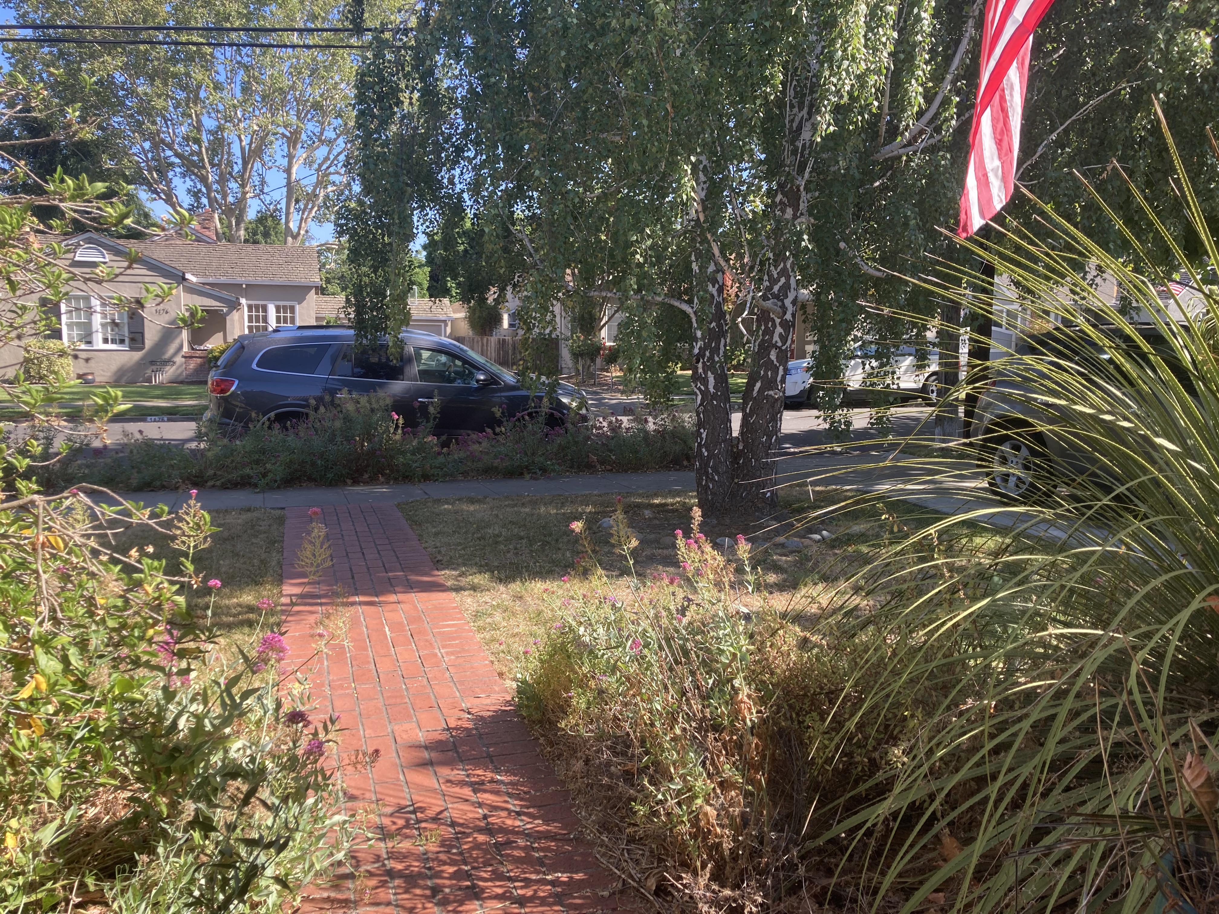IMG_0630.jpeg