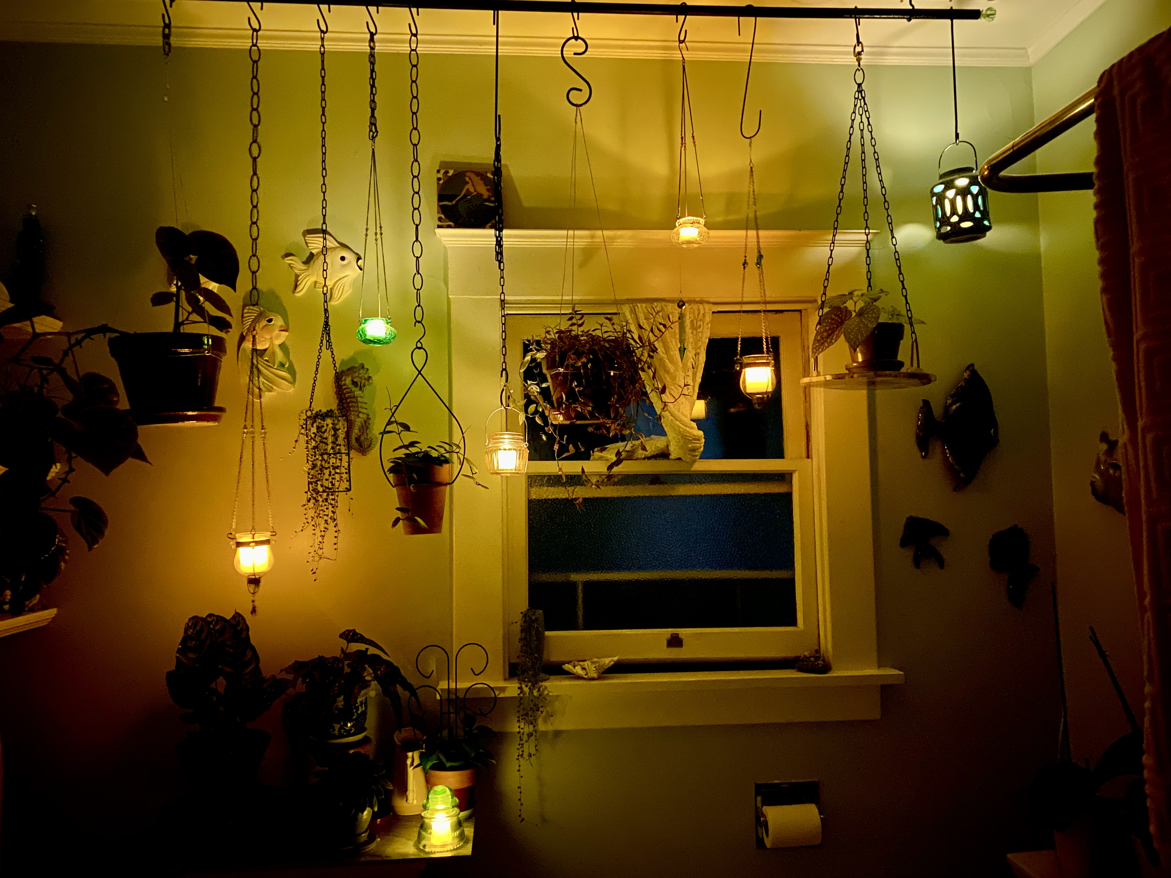 IMG_3466.jpeg