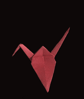 IMG_3789.gif