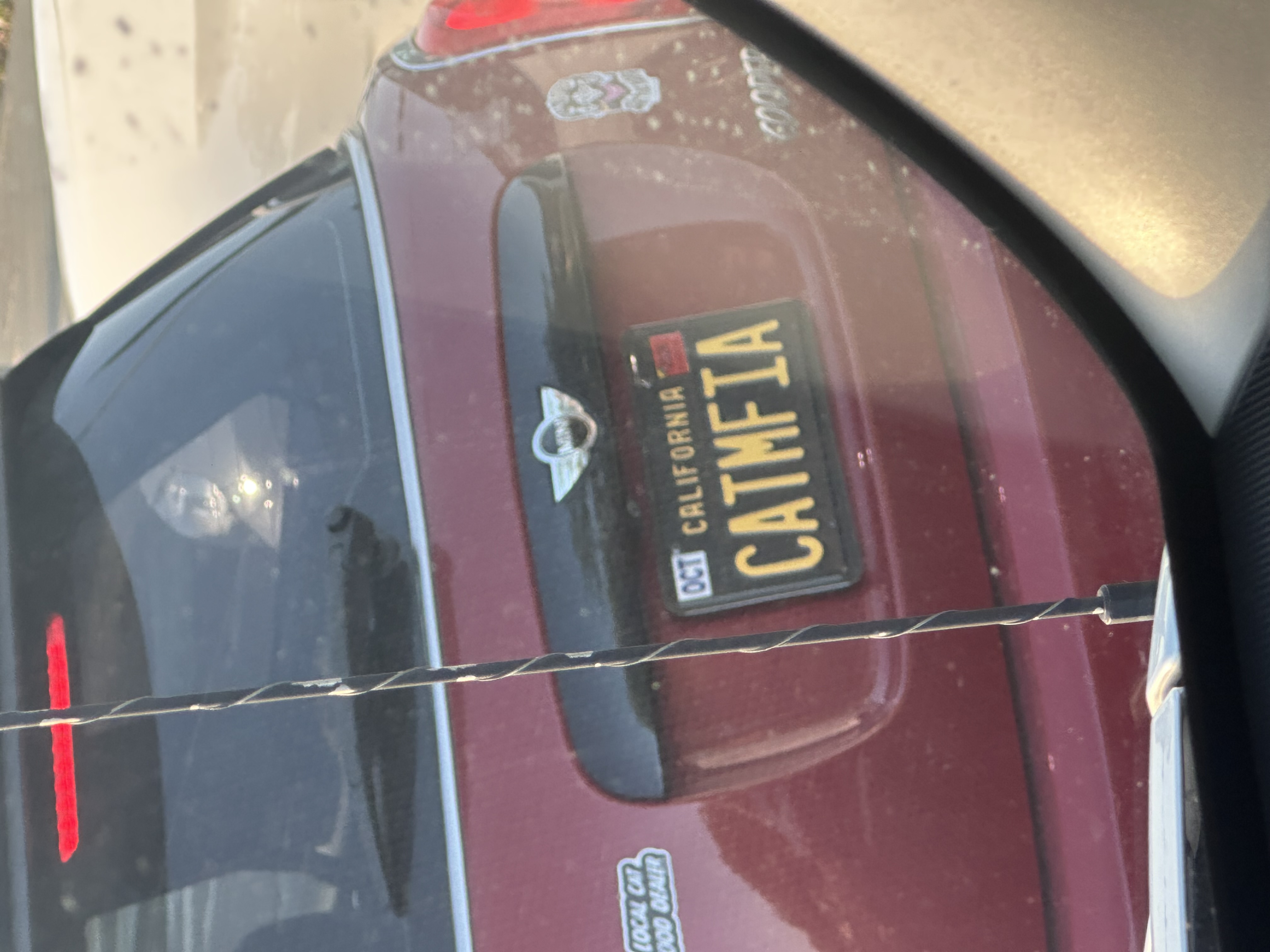IMG_7194.jpeg