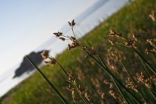 Rydther Rally 2010-46.jpg