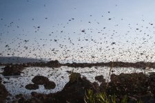 Rydther Rally 2010-55.jpg