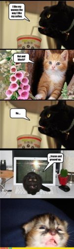 koma-comic-strip-coffee-its-delicious.jpg