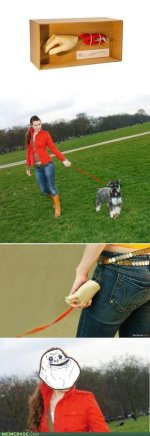 memes-at-least-i-have-a-dog.jpg