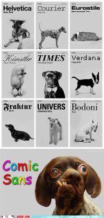 hurr-durr-derp-face-our-major-fonts.jpg