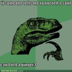 memes-if-someone-tells-me-to-not-tell-a-soul-can-i-tell-a-ginger.jpeg