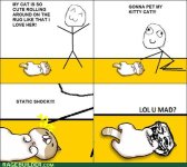rage-comics-troll-rolling-cat.jpeg