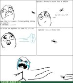 rage-comics-rage-spider.jpeg