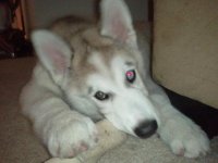 2011-07-21 21.49.15.jpg