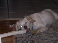 DSCN4122.jpg