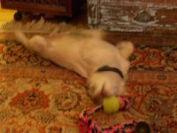 DSCN4117.jpg