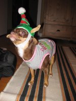 Img_0865.jpg