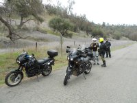 Knoxville OHV  - Berryessa 3-11-2012 007.jpg