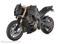 Mad-Max-BMW-S1000RR.jpg