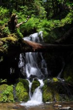 DSC_0896.jpg