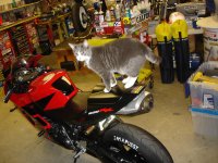 DSC06462.jpg