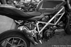 sf-wayne serrano 6.30.10.jpg