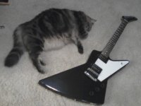 Nev&Gibson.jpg
