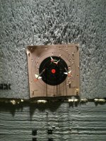 My shots first quiver.jpg