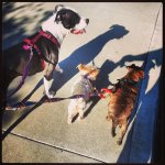 IMG_20131228_133316.jpg IMG_20131228_133316.jpg