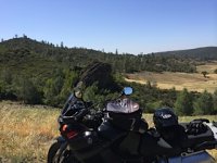 IMG_1398.jpg