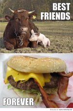 funny-animal-quote-animal-quotes--funny-animal-pictures-quotes-the-best-friend-is-the-cow-cool.jpg