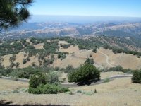 IMG_1312.jpg