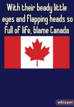 blamecanada.jpg