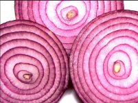 Screen Shot 2016-03-24 at 2.30.31 PM.jpg