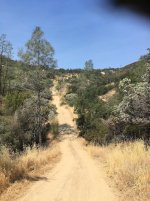 6 Condon trails b.jpg 6 Condon trails b.jpg