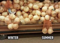 winter vs summer.jpg