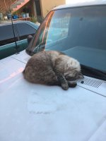 friend 2.jpg friend 2.jpg