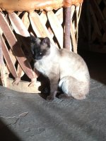 friend5.jpg friend5.jpg