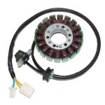 stator.jpg