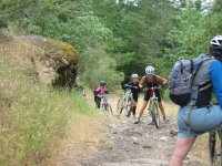 IMG_1677 (Small).JPG