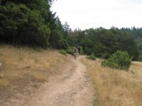 IMG_1684 (Small).JPG