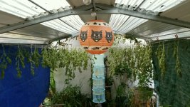 2020-10-09 08.32.44.jpg