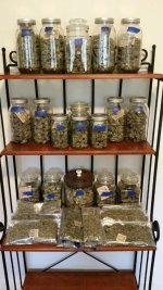 2021-11-13 11.15.10.jpg