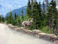 IMG_3570 sm 1 K size.jpg