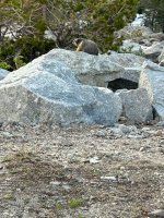 IMG_9060.jpeg