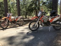 IMG_5904.jpeg