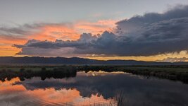 1000008361.jpg 1000008361.jpg