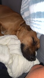 IMG_8881.jpeg
