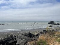 IMG_5980.jpeg