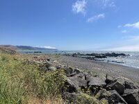 IMG_5979.jpeg
